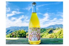 日向夏わいん「2024 あやてらす」