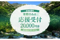 【返礼品なしの寄附】宮崎県綾町 寄附のみの応援受付 20,000円 応援寄附 寄付