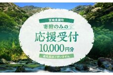 【返礼品なしの寄附】宮崎県綾町 寄附のみの応援受付 10,000円 応援寄附 寄付