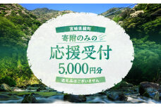 【返礼品なしの寄附】宮崎県綾町 寄附のみの応援受付 5,000円 応援寄附 寄付