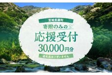 【返礼品なしの寄附】宮崎県綾町 寄附のみの応援受付 30,000円 応援寄附 寄付