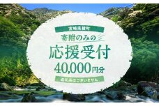 【返礼品なしの寄附】宮崎県綾町 寄附のみの応援受付 40,000円 応援寄附 寄付