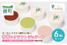 オーガニックタウン綾町から届く、季節のクラフトジェラート〈6個セット〉