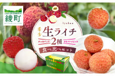 【数量限定】希少 国産 綾生ライチ 2種食べ比べセット / 宮崎県産  綾町 ライチ 希少 国産ライチ 果物 フルーツ 産地直送 お中元
