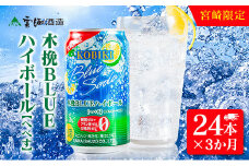 【3か月定期便】雲海酒造 宮崎限定 木挽BLUE ハイボール へべす 350ml×24本（木挽ブルー）
