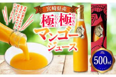 ＜宮崎県産マンゴージュース 極極 500ml＞翌月末迄に順次出荷