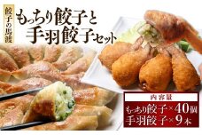 【宮崎空港で大人気!】TV番組で餃子日本一獲得!＜餃子の馬渡馬渡のもっちり餃子40個と手羽餃子9本セット＞2～3週間以内に順次出荷 餃子の馬渡 ぎょうざ ギョウザ 手羽先餃子 餃子の馬渡 お取り寄せ  ギョーザ 餃子 宮崎餃子 たかなべ 宮崎県 高鍋町 