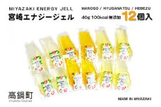 ＜宮崎エナジージェル　低GI 12個セット＞翌月末迄に順次出荷