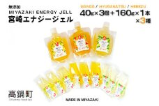 ＜宮崎エナジージェル　低GI 9個＋ボトル3本セット＞翌月末迄に順次出荷