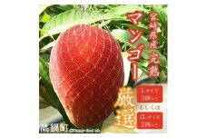 【先行予約】＜宮崎県産 完熟マンゴー （Lサイズ 3個 もしくは 2Lサイズ 2個）＞ 2026年4月上旬～9月上旬迄に順次出荷  果物 フルーツ マンゴー くだもの 特産品 完熟 国産 宮崎県 高鍋町