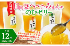 ＜宮崎県産 日向夏・へべす・みかんの のむゼリー各170g 合計12本＞翌月末迄に順次出荷