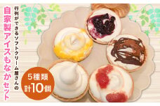 ＜アイスもなか 5種10個セット＞2か月以内に順次出荷 アイス 自家製 セット