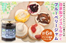 ＜自家製アイスクリームとブルーベリージャムのセット＞2か月以内に順次出荷 アイス ジャム セット ブルーベリー