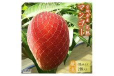 ＜宮崎県産 完熟マンゴー (3Lサイズ×2個)＞2025年4月上旬～9月上旬迄に順次出荷 果物 フルーツ マンゴー くだもの 特産品 完熟 国産 宮崎県 高鍋町