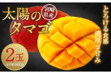 【残りわずか！】＜宮崎県 完熟マンゴー 太陽のタマゴ 3L×2玉(合計 約900g)＞ ※2025年5月上旬～7月末迄に順次出荷します。 マンゴー 果物 くだもの フルーツ 完熟 南国
