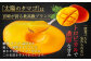 ＜宮崎県 完熟マンゴー 太陽のタマゴ 3L×2玉(合計 約900g)＞