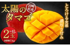 【残りわずか！】＜宮崎県 完熟マンゴー 太陽のタマゴ 4L×2玉(合計 約1kg)＞※2025年5月上旬～7月末迄に順次出荷します。 マンゴー 果物 くだもの フルーツ 完熟 南国