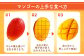 ＜宮崎県 完熟マンゴー 太陽のタマゴ 4L×2玉(合計 約1kg)＞