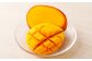＜宮崎県 完熟マンゴー 太陽のタマゴ 4L×2玉(合計 約1kg)＞