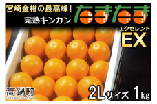 ＜完熟キンカン「たまたまEX」エクセレント 2L×1kg １箱＞2024年2月上旬～2月下旬迄に順次出荷 金柑 柑橘 果物