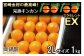 ＜完熟キンカン「たまたまEX」エクセレント 2L×1kg １箱＞