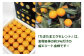 ＜完熟キンカン「たまたまEX」エクセレント 2L×1kg １箱＞