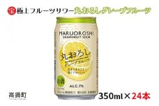 ＜極上フルーツサワー 丸おろしグレープフルーツ 350ml×24本＞翌月末迄に順次出荷