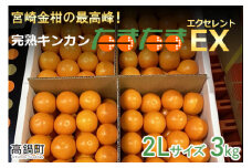 ＜完熟キンカン「たまたまEX」エクセレント 2L×3kg １箱＞2024年2月上旬～2月下旬迄に順次出荷 金柑 柑橘 果物