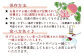 〈宮崎県高鍋産プラム 2kg〉