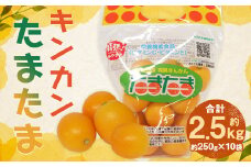 ＜宮崎県産【2024年数量限定】大粒 キンカン たまたま 250g 小袋 10袋入り＞ ※2024年1月中旬～2月下旬迄に順次出荷します。 