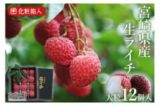 ＜宮崎県産 生ライチ 大粒12個入り＞ 2025年7月上旬～7月下旬迄に順次出荷