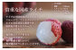 ＜宮崎県産 生ライチ 大粒12個入り＞