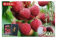 ＜宮崎県産 生ライチ 500g＞ 2025年7月上旬～7月下旬迄に順次出荷
