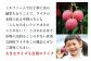 ＜宮崎県産ライチ600g＞