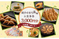〈餃子のまち高鍋 お食事券(1000円×3枚)＞翌月末迄に順次出荷 3,000円 ぎょうざ ギョーザ 焼き餃子 チケット 15店舗で使える