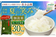 【学校給食提供】＜令和7年産 宮崎県産夏の笑み（無洗米）5kg 6か月定期便＞ 2025年9月上旬以降順次 第1回目発送（8月は下旬頃） 米  希少品種