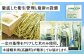 ＜宮崎県産夏の笑み（無洗米）5kg 6か月定期便＞ 