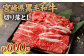 ＜宮崎県産黒毛和牛切り落とし600g＞