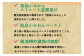 ＜九州限定 寶CRAFT クラフトチューハイ 桜島小みかん 330ml×12本＞