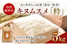 ＜令和6年度 特別栽培米「粋」キヌムスメ 5kg＞※入金確認後、翌月末迄に順次出荷します。 お米 米 白米 精米 宮崎県 高鍋町