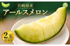 【12月15日迄受付】〈アールスメロン2L以上 2玉(田中光顕)〉2023年12月下旬～2024年1月上旬迄に順次出荷 メロン 果物 くだもの フルーツ 宮崎県 高鍋町