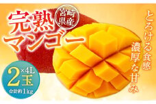 【残りわずか！】＜宮崎県産 完熟マンゴー 4L×2玉(合計 約1kg)＞ ※2025年5月上旬～7月末迄に順次出荷します。 マンゴー 果物 くだもの フルーツ 完熟 南国