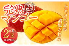 【残りわずか！】＜宮崎県産 完熟マンゴー 3L×2玉(合計 約900g)＞※2025年5月上旬～7月末迄に順次出荷します。 マンゴー 果物 くだもの フルーツ 完熟 南国