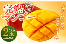 【残りわずか！】＜宮崎県産 完熟マンゴー 2L×2玉＞ ※2025年5月上旬～7月末迄に順次出荷します。 マンゴー 果物 くだもの フルーツ 完熟 南国