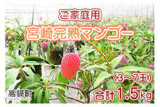 【先行予約】＜宮崎県産 完熟マンゴー ｢家庭用｣（約1.5kg）＞ 2025年7月上旬～9月上旬迄に順次出荷 果物 フルーツ マンゴー くだもの 特産品 完熟 国産 宮崎県 高鍋町