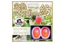 ＜宮崎県産 完熟マンゴー｢紡｣（約300g～約350g 2個もしくは約260g～約300g 3個）＞※2024年7月中旬～9月上旬迄に順次出荷 果物 フルーツ マンゴー くだもの 特産品 完熟 国産 宮崎県 高鍋町