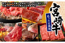 ＜宮崎牛6ヶ月定期便＞お申込みの翌月下旬頃に第一回目発送（12月は中旬頃）