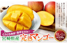 ＜宮崎県産完熟マンゴー 4L×1玉（500g以上）＞2025年4月中旬～7月下旬までに順次出荷