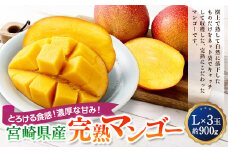 ＜宮崎県産完熟マンゴー L×3玉（約900g）＞2025年4月中旬～7月下旬までに順次出荷