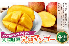 ＜宮崎県産完熟マンゴー 2L×3玉（約1kg）＞2025年4月中旬～7月下旬までに順次出荷
